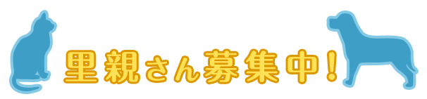 里親募集中