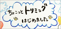 ちょこっとトリミングはじめました。
