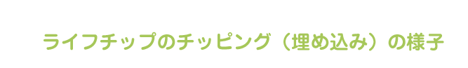 ライフチップのチッピング（埋め込み）の様子