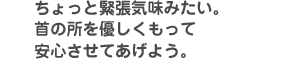 ちょっと緊張気味みたい。首のところを優しくもって安心させてあげよう。