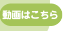 動画はこちら