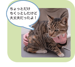 ちょっとちくっとしたけど　大丈夫だったよ