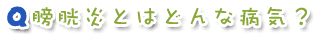 膀胱炎とはどんな病気？