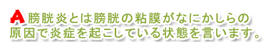 膀胱炎とは膀胱の粘膜になにかしらの原因で炎症を起こしてる状態をいいます。