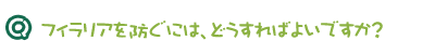 フィラリアを防ぐにはどうすればよいですか？