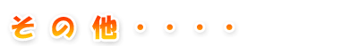 その他