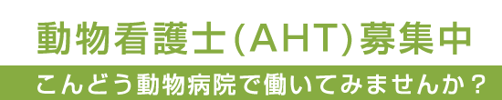 スタッフ 動物看護士(AHT)募集中 こんどう動物病院で一緒に働いてみませんか?
